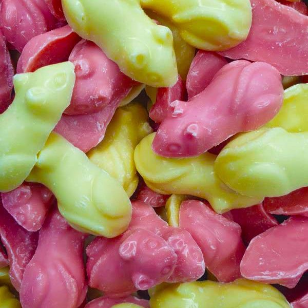 Hannah's Giant Pink and White Mice