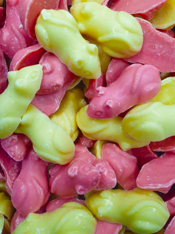 Hannah's Giant Pink and White Mice Hannah's Giant Pink and White Mice